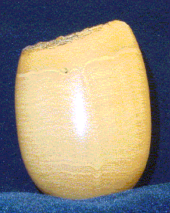 Pau-Marfim