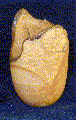 Saboneteira