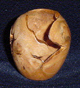 Tuya