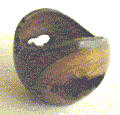 Canela