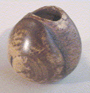 Caquizeiro