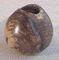 Caquizeiro