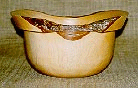 Tipuana Tipu