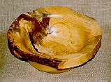 Tipuana Tipu