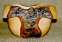 Tipuana Tipu