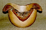 Tipuana Tipu