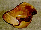 Tipuana Tipu