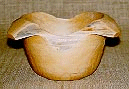 Cedro Cedrela sp.