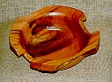 Eucaliptus sp.