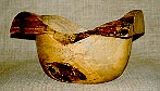 Figueira Branca