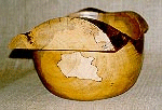 Figueira Branca