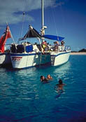 Snorkel, dive & schwim in warm, clear waters!