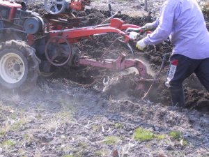 The Kyungungi plough