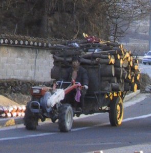 Kyungungi on the road