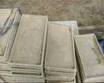 trays used for growing the rice seedlings