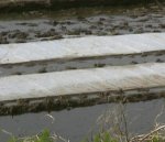 trays covered with geotextile until seedlings grow
