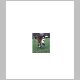 10sandridgesoccer.jpg