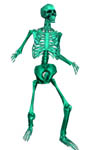 Bones