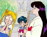Usagi: Rei-chan is SOOOOOO cool! Ami: Everybody knows that, Usagi-chan!