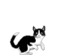 "Pet Adoptions - Pet Lost -And-Found - Nationwide"