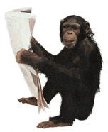 "CDC Monkeypox Homepage"