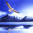 "Path&nbsp; Finder Program (Get Wilderness First Responder & Wilderness EMT Training)