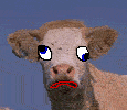 "What The Heck Is Mad Cow Disease"?