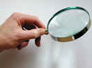 "Microbes In the News"