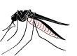 "CDC West Nile Virus Homepage"