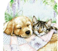 "U.P. Connections Animal Rescue Websites (Links To Many Animal Rescue Websites!)
