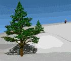 "Winter Preparedness Information & Safety Tips"