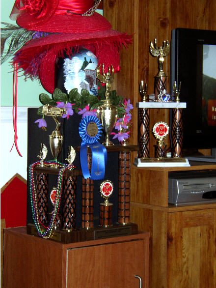 Three Trophies and a Ribbon!