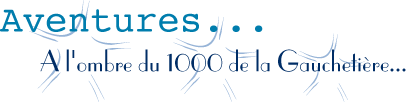 image «Aventure... &Agrave; l'ombre du 1000 de la Gaucheti&egrave;re