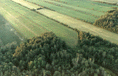 Photo prise en montgolfi�re d'un champ