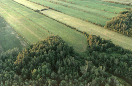Photo «Du haut du ciel de Saint-Jean-sur-le-Richelieu»