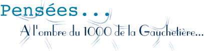 image «Pens&eacute;es... &Agrave; l'ombre du 1000 de la Gaucheti&egrave;re»