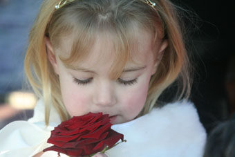 Photographers covering wedding venues in Reigate, Surrey and all surrounding counties