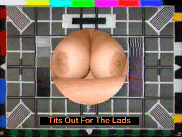TransmissionBoobs.gif (49592 bytes)