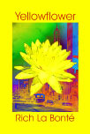 Yellowflower by Rich La Bont - More Info! Free Preview!