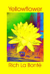 Yellowflower by Rich La Bont� - More Info! Free Preview!
