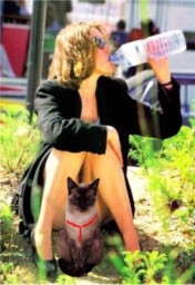 dana the cat