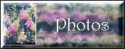 Mes photos de fleurs