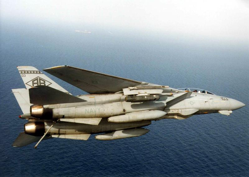 F-14 Tomcat 1