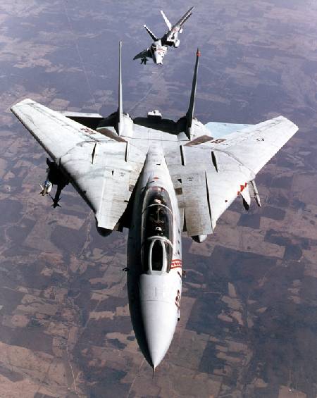 F-14 Tomcat 3