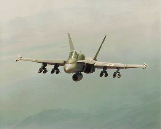 F-18 Hornet 2