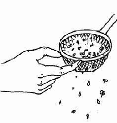 tea strainer -- 99 c. -- for everyday use !