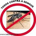 Mosquito transmissor da Dengue