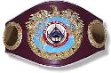 USA Champion / Champion des USA