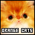 Orange Cats