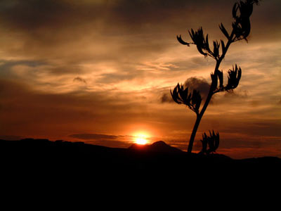 Mt Boyes Sunrise